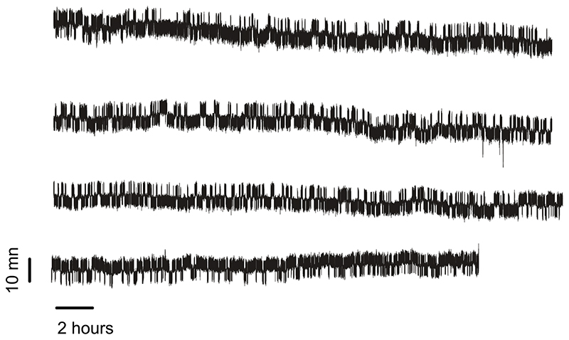 Extended Data Fig. 7