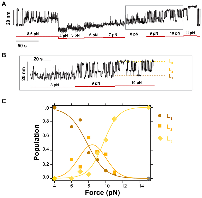 Extended Data Fig. 5