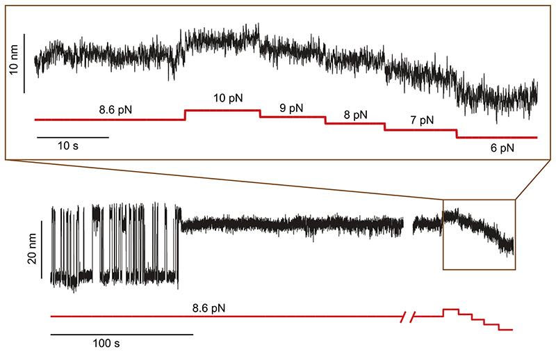 Extended Data Fig. 4