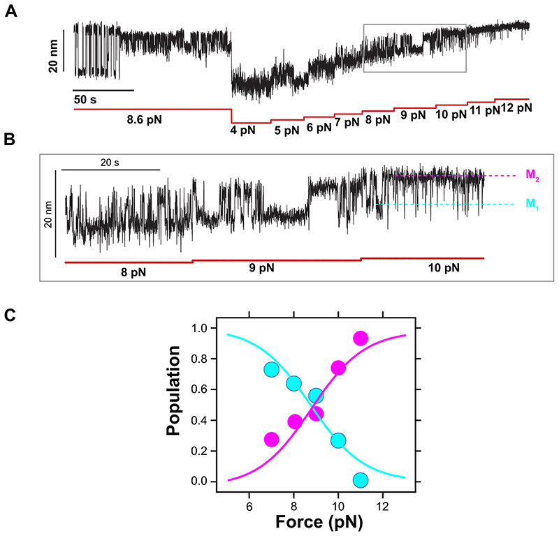 Extended Data Fig. 6