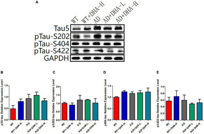 FIGURE 5