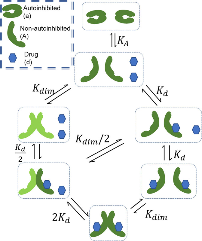 Appendix 1—figure 3.