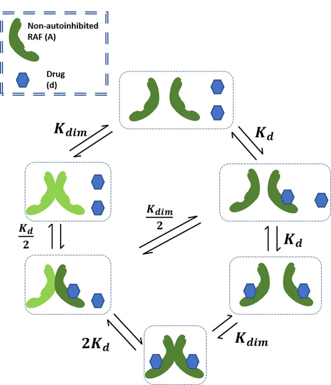 Appendix 1—figure 1.