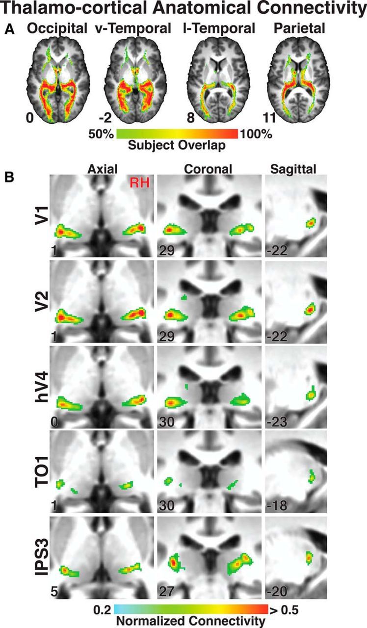 Figure 7.