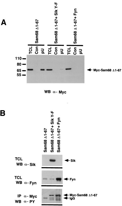 FIG. 7