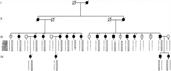 Figure  1 (revised)