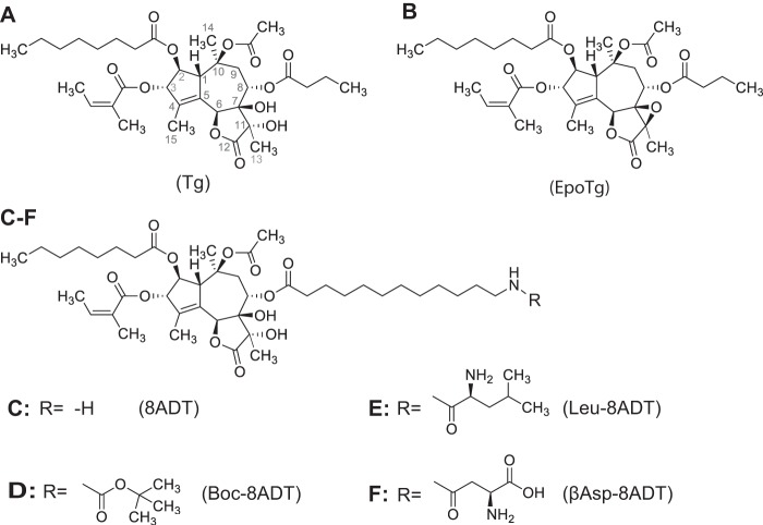 Figure 1.