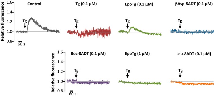 Figure 6.