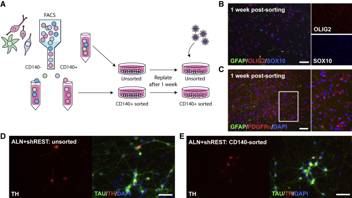 Figure 3