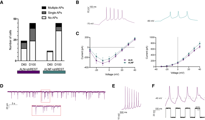 Figure 6