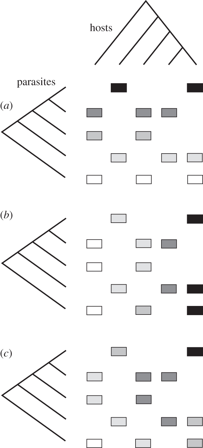 Figure 2.