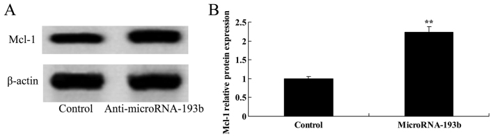 Figure 11.