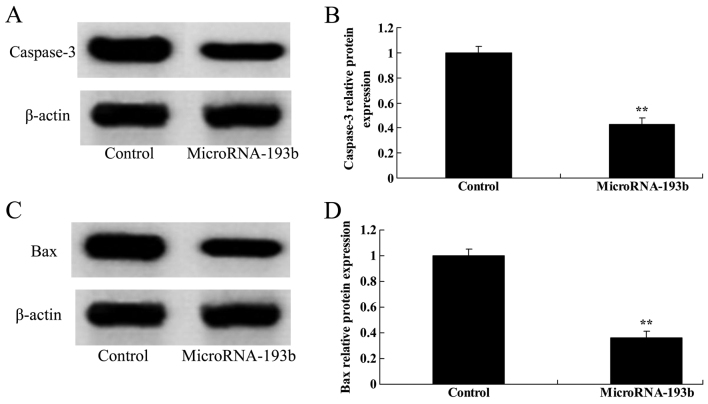 Figure 10.