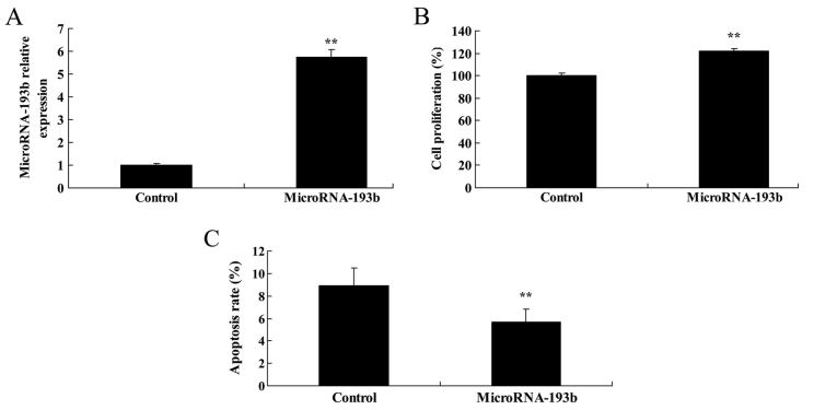 Figure 9.