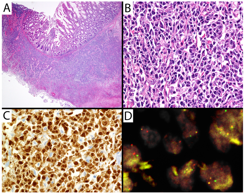 Figure 2.