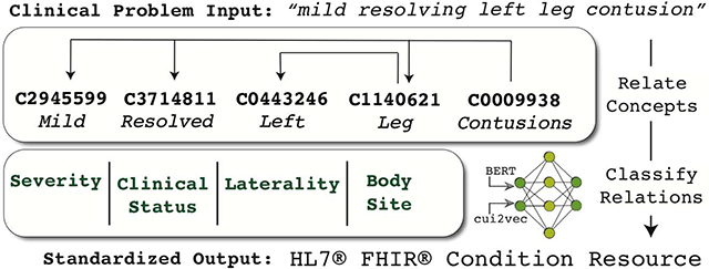 graphic file with name nihms-1626730-f0001.jpg