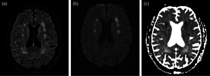 FIGURE 2