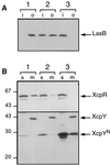 FIG. 6