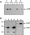 FIG. 5