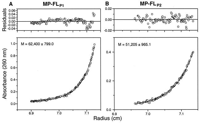 FIG. 2.