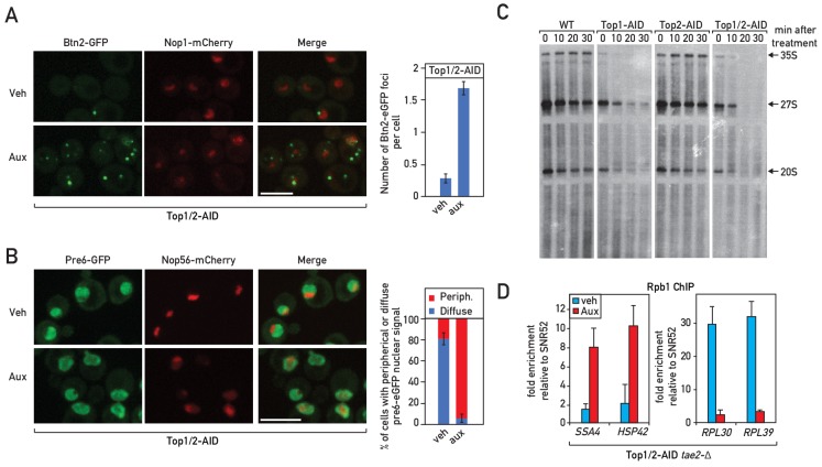 Figure 2—figure supplement 1.