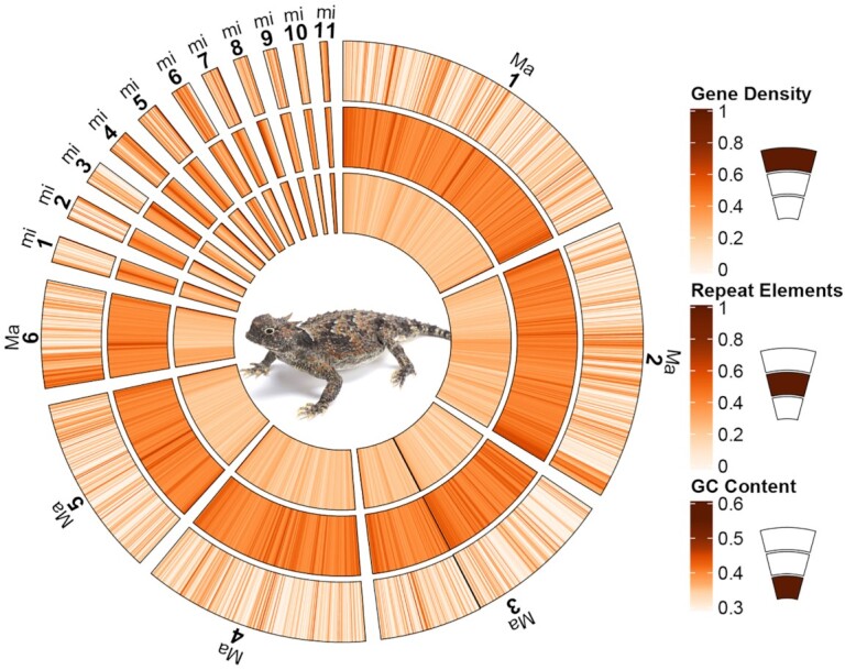 Figure 2: