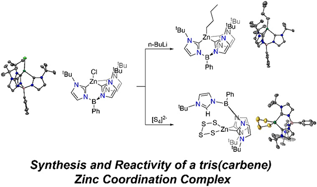 graphic file with name nihms-1844101-f0001.jpg