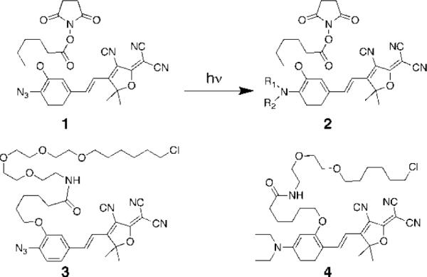 Scheme 1