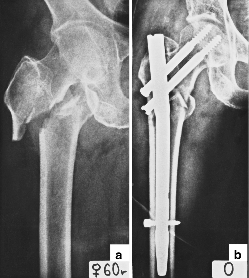 Fig. 5