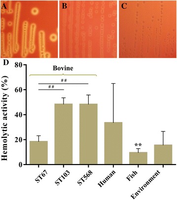 Figure 5