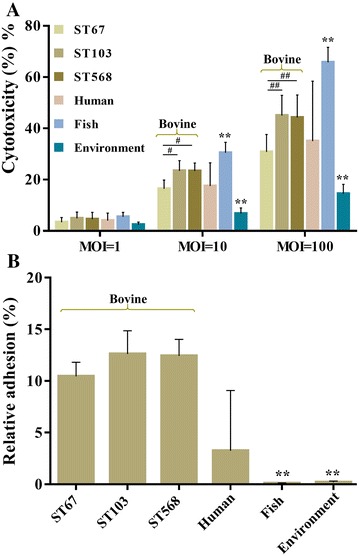 Figure 6