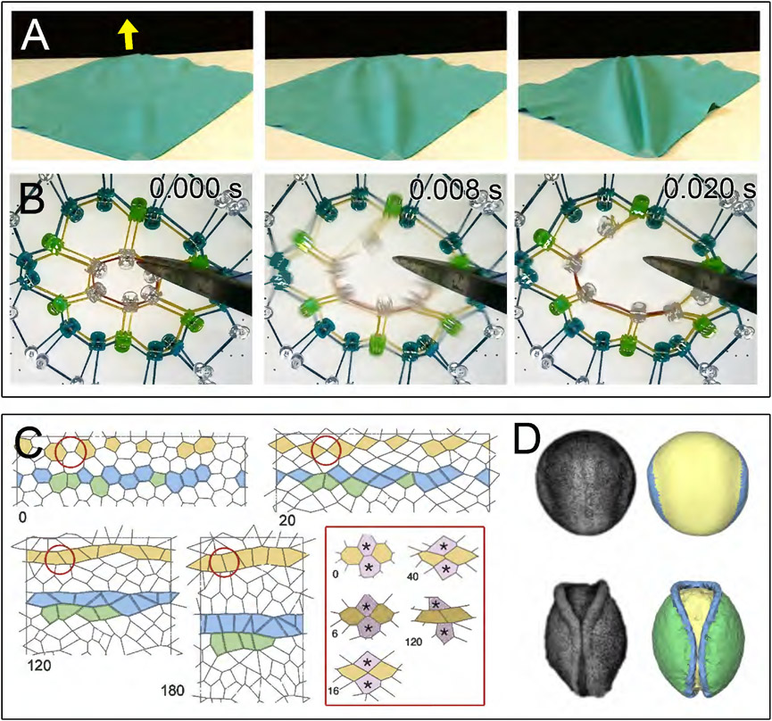 Figure 3: