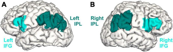 FIGURE 1