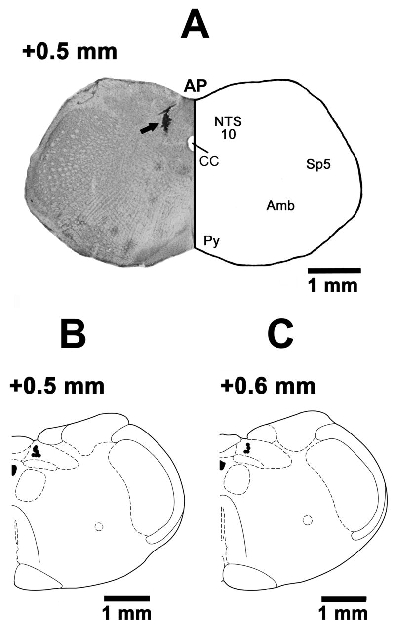 Fig. 7