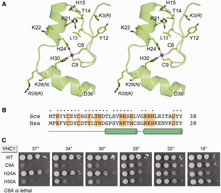 Figure 2.