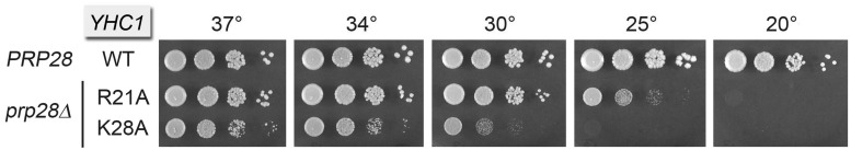 Figure 7.