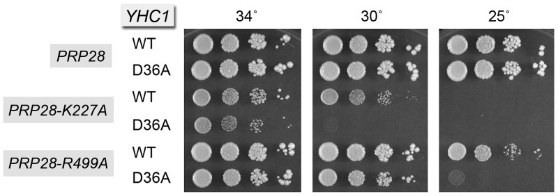 Figure 10.