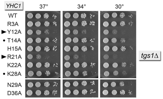 Figure 4.