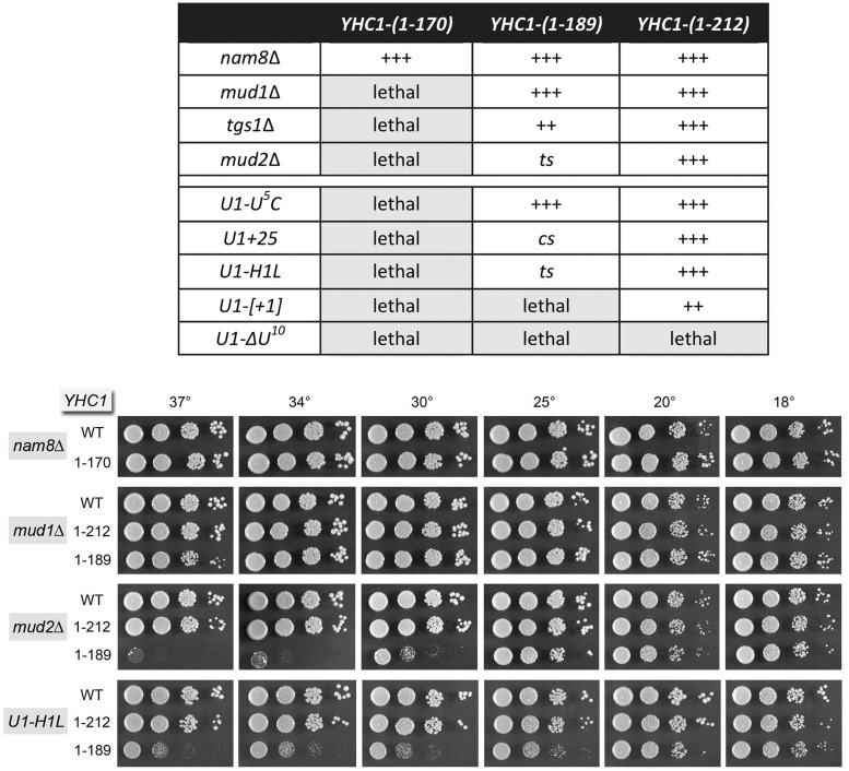 Figure 11.