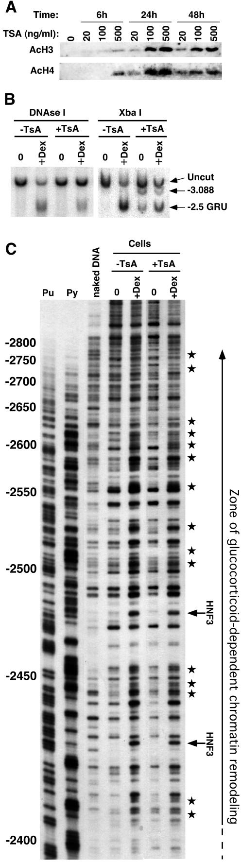 FIG. 6.