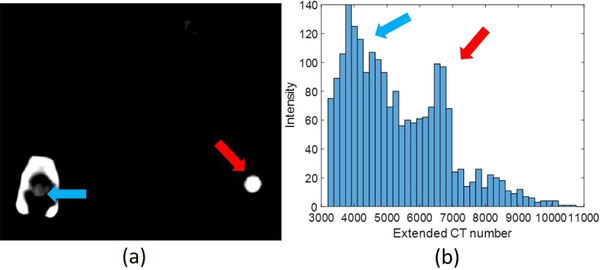 FIGURE 10