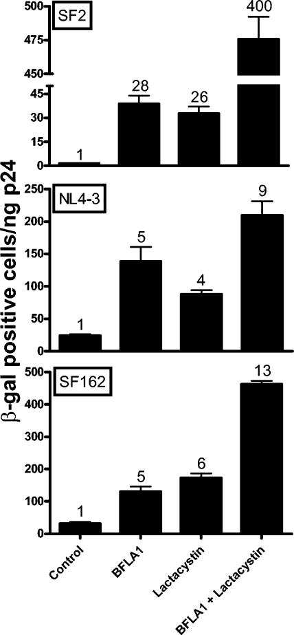 FIG. 5.