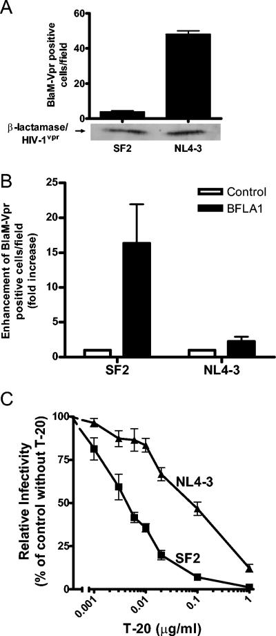 FIG. 4.