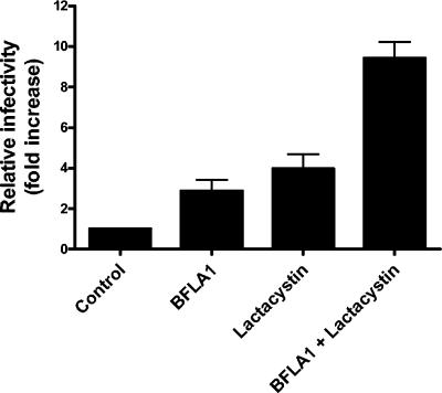 FIG. 7.