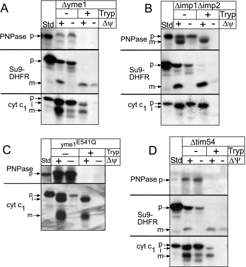 FIG. 4.