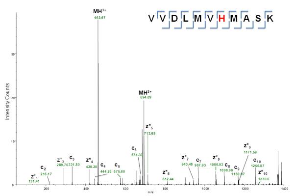 Figure 13