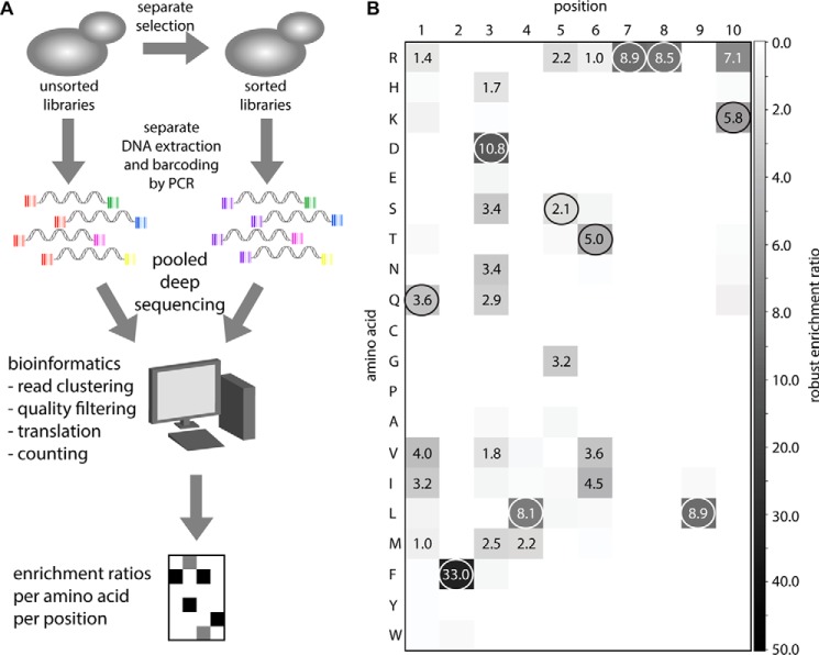 FIGURE 4.