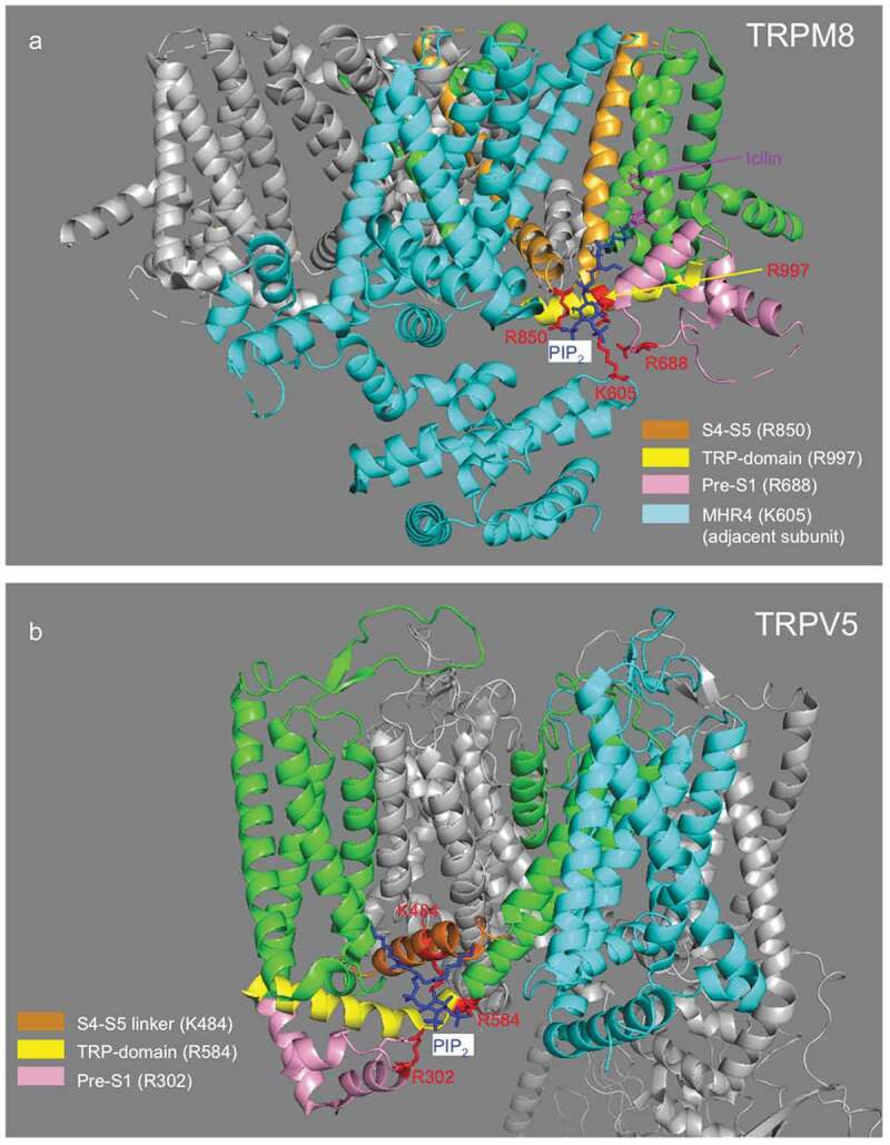 Figure 2.