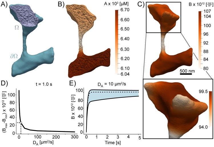 Fig 10