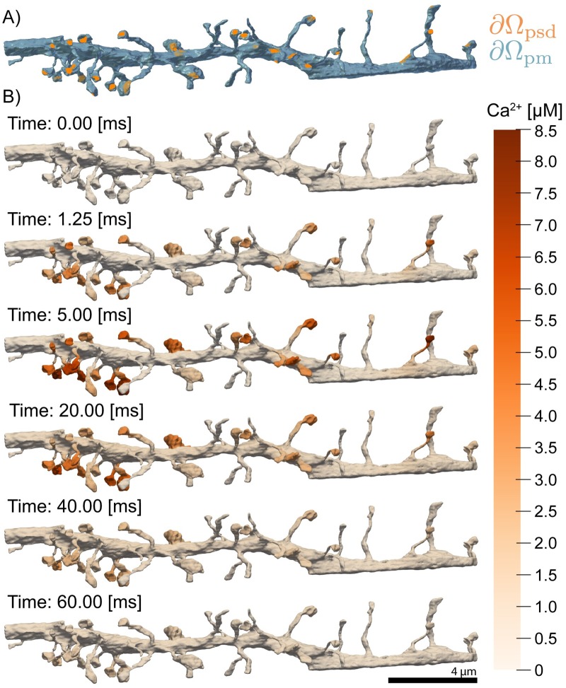 Fig 12